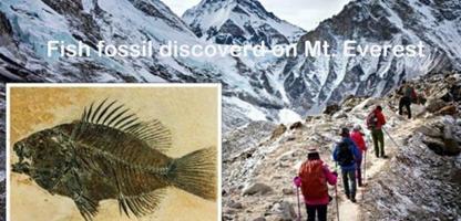 Bible-discovery-Marine-fossils-found-atop-Mount-Everest-could-be-proof-of-Great-Flood_1.jpg
